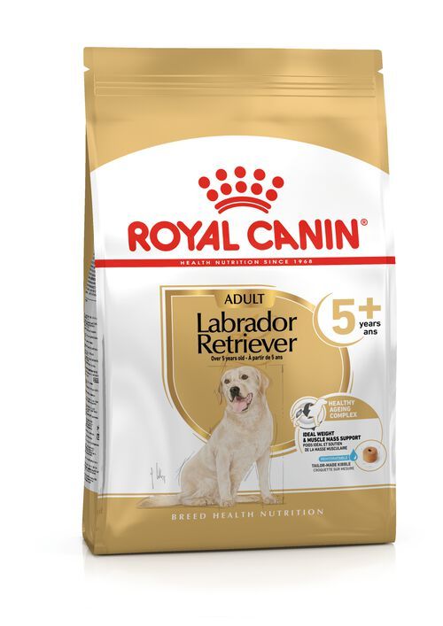 Labrador Retriever 5+ (12 kg) - Royal Canin