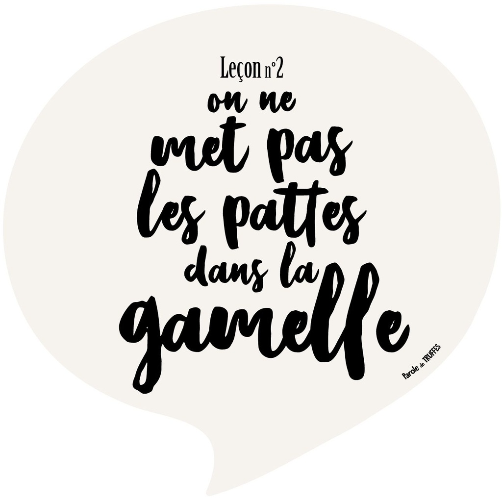 Set de table Leçon n°2 "On ne met pas les pattes dans la gamelle" - Parole de Truffes
