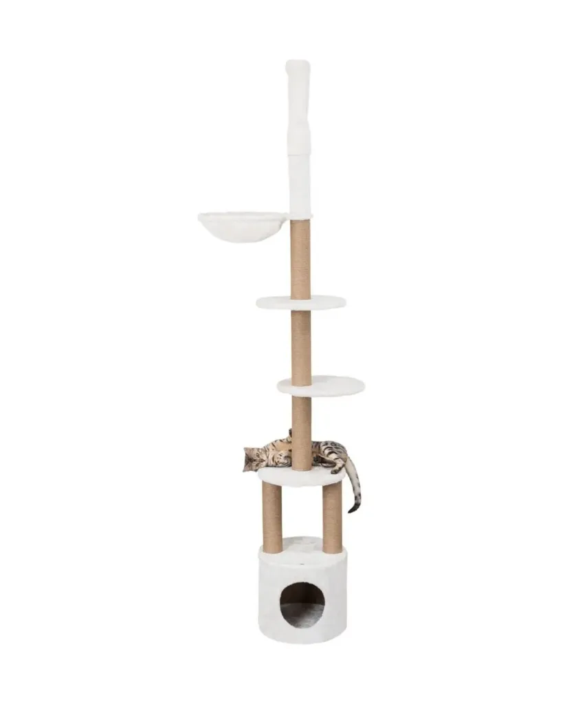 [14655] Arbre à chat Aurelio du sol au plafond (236–250 cm) - Trixie