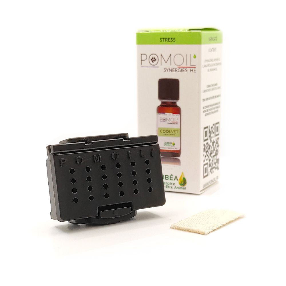 Kit de diffuseur d'huiles essentielles "Pomoil"