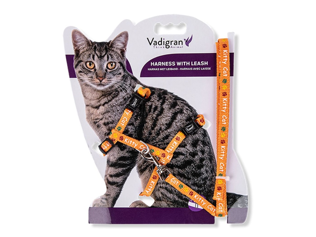 Harnais + laisse pour chaton "Kitty Cat" (Orange) - Vadigran