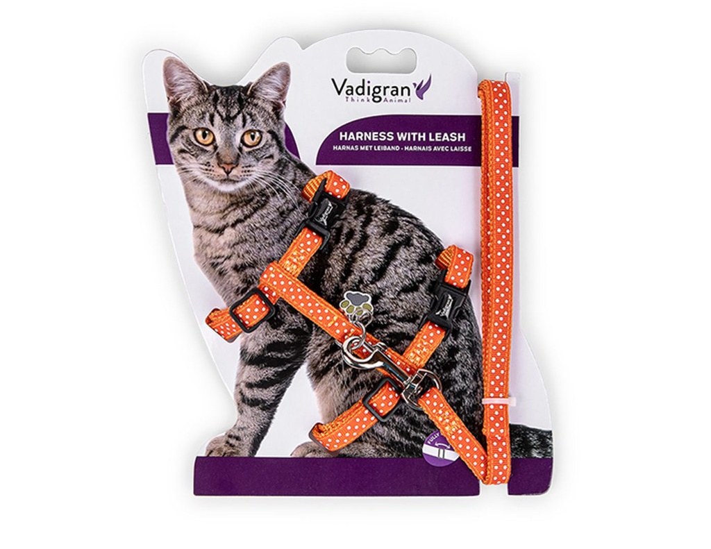 Harnais + laisse pour chat "Pois" (Orange) - Vadigran