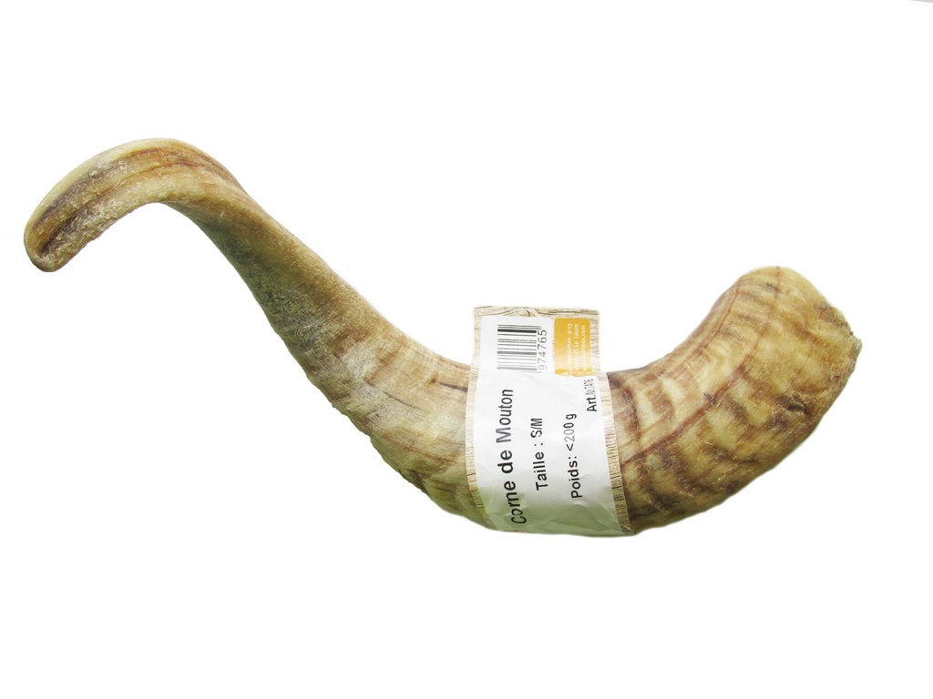 Corne de mouton (S/M) - Bubimex