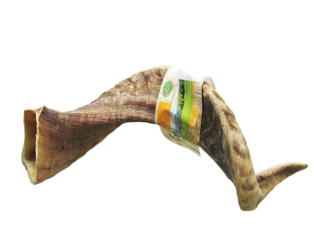 Corne de mouton (L) - Bubimex