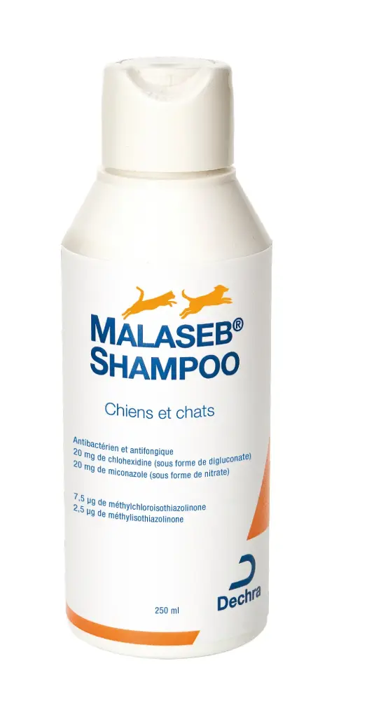 Shampooing Malaseb (250 ml) - Dechra