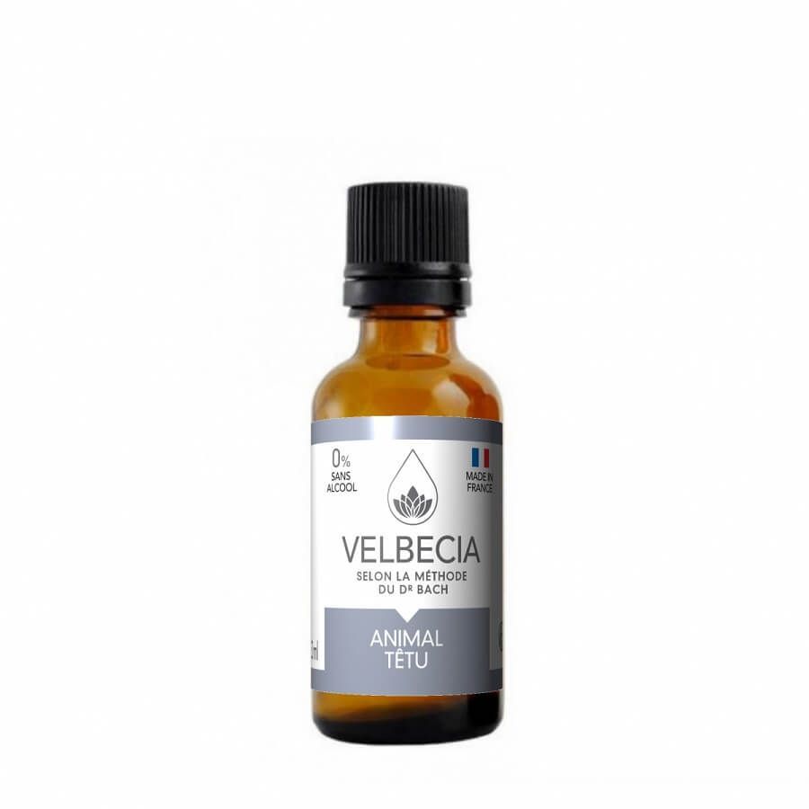 Mélange de fleurs de Bach Animal n'obéit pas (30 ml) - Velbecia