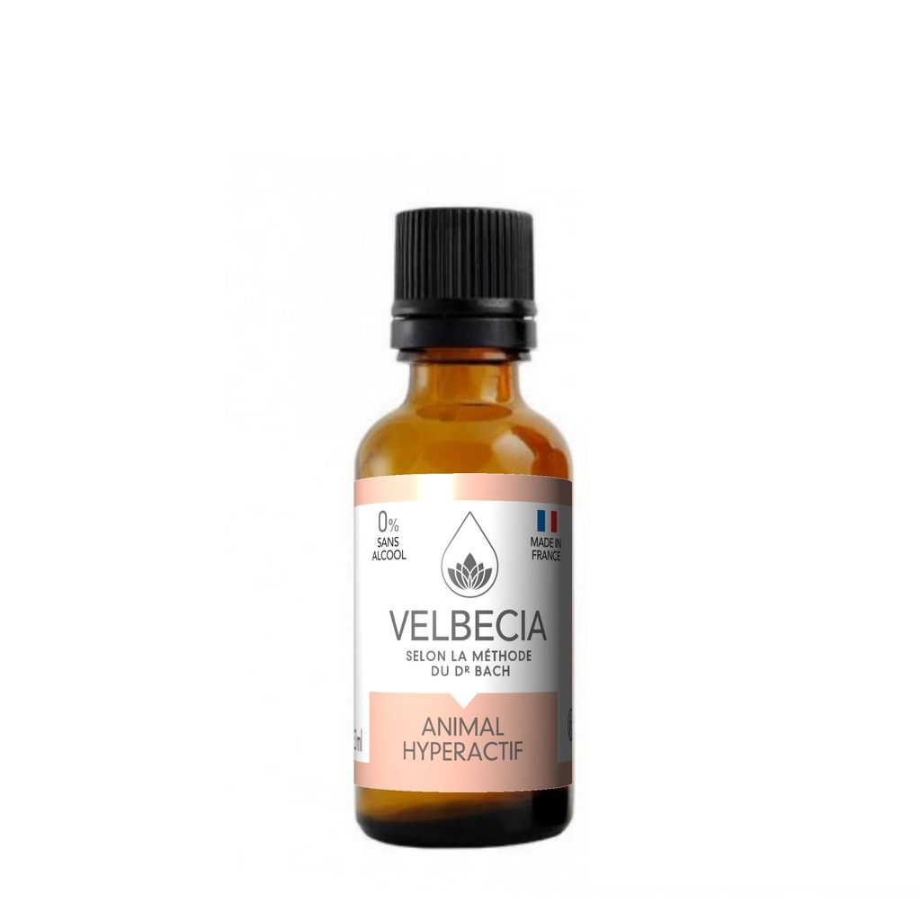 Mélange de fleurs de Bach Animal Hyperactif (50 ml) - Velbecia