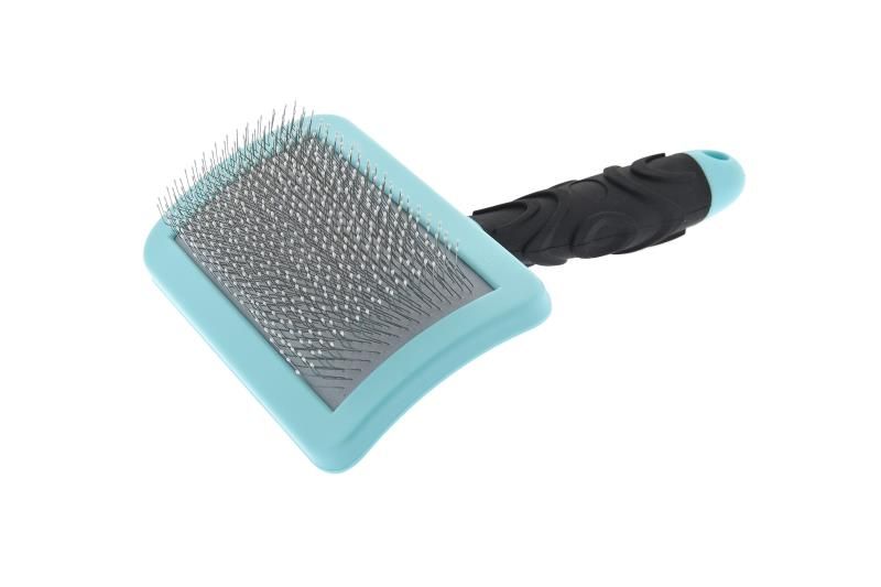 Brosse cardeur avec pointes recouvertes (S) - Ferribiella