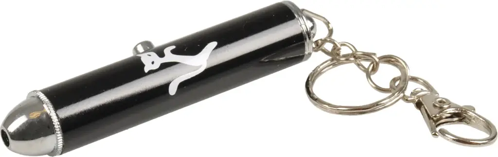 Pointeur à laser point - Flamingo