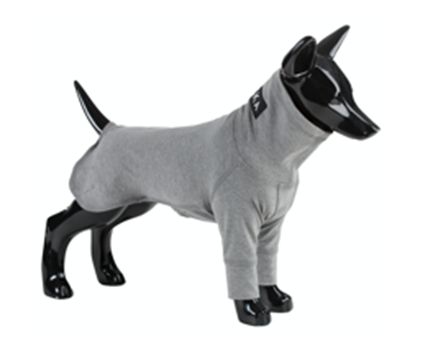 Tee-shirt de récupération pour chien (65 cm) - PAIKKA