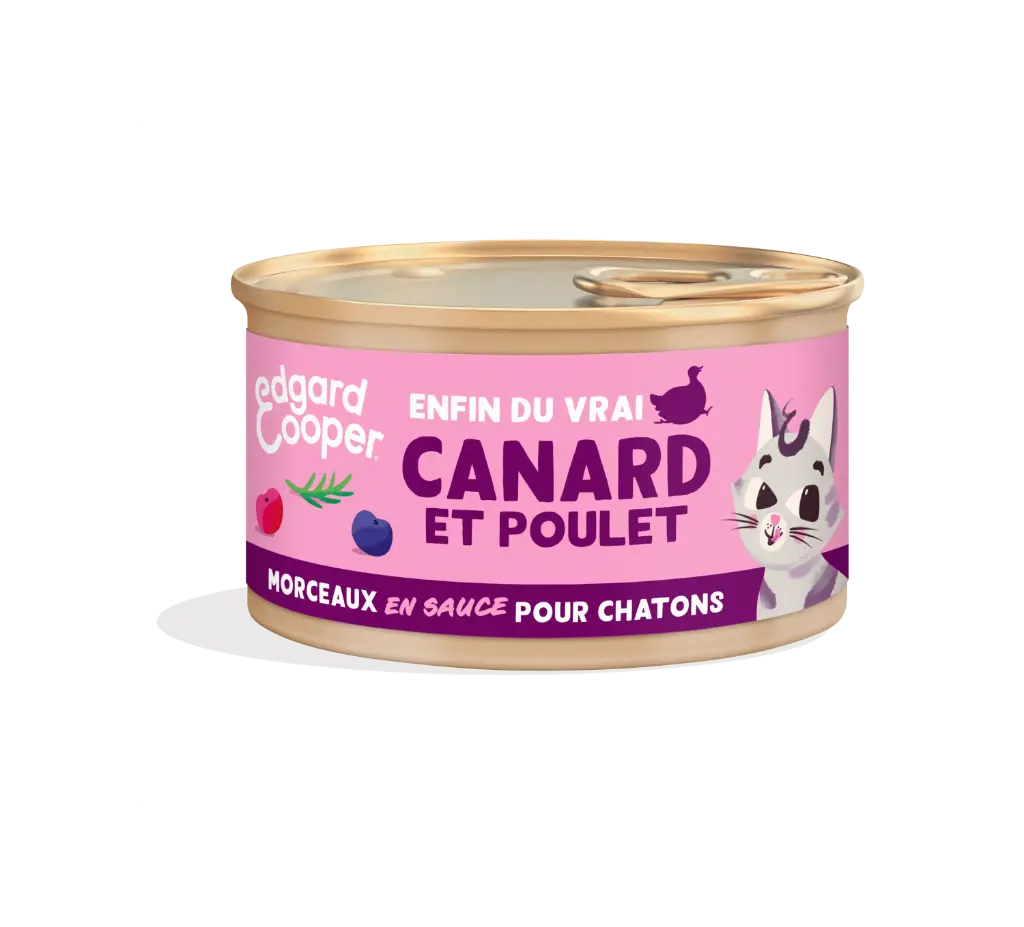 Morceaux en sauce pour chaton au canard et au poulet (85 g) - Edgard & Cooper