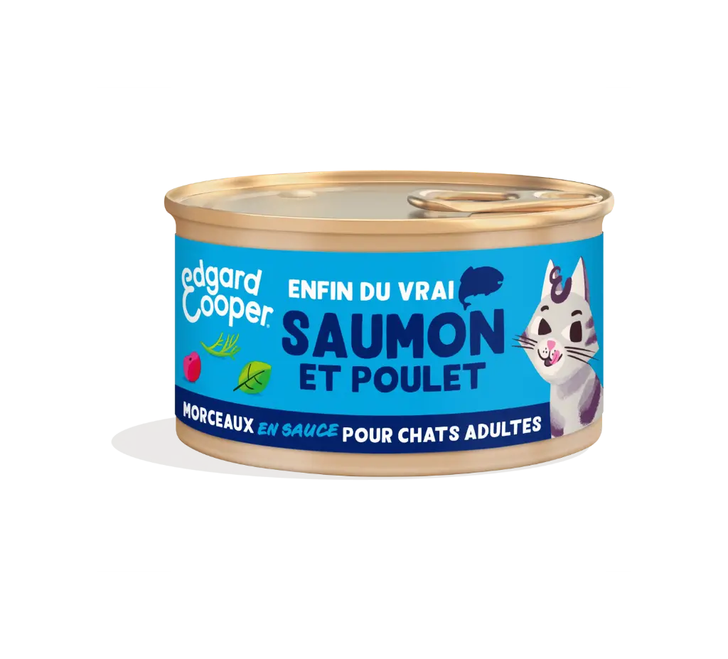 Morceaux en sauce pour chat au saumon et au poulet (85 g) - Edgard & Cooper