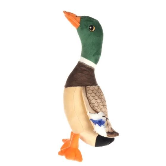 Canard Paloma - Flamingo