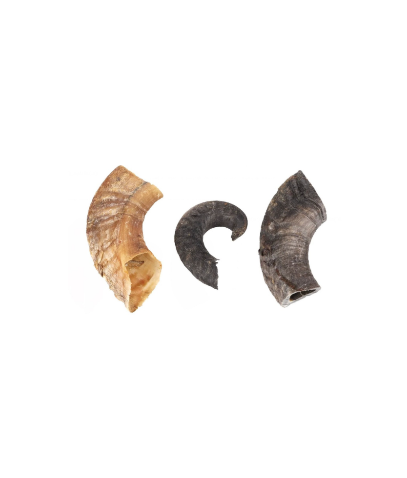 Friandises Nature Corne d'Agneau (200 g) - Flamingo