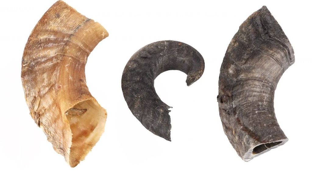 Friandises Nature Corne d'Agneau (200 g) - Flamingo