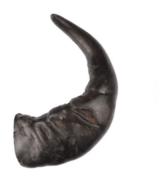 Friandise Nature Corne de Buffle - Flamingo