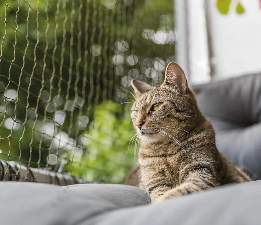 Filet de protection renforcé - Trixie