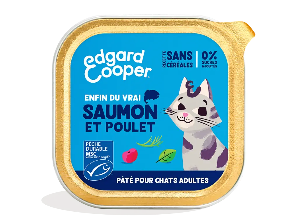 Pâté moelleuse pour chat au saumon et au poulet (85 g) - Edgard & Cooper