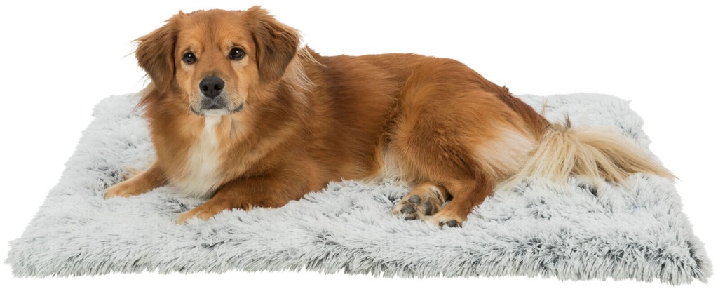 Matelas Harvey pour chien (Taille 1) - Trixie