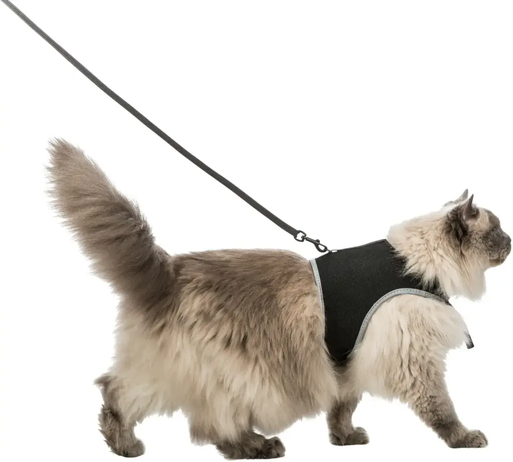Harnais pour chat Soft XXL avec laisse - Trixie