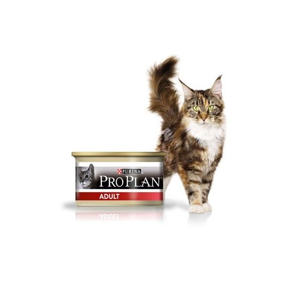 [2042_5543] Boites "Adult" riche en poulet (12 boîtes 85 g) - Pro Plan
