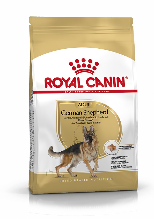 German Shepherd "Berger Allemand" (3 kg) - Royal Canin