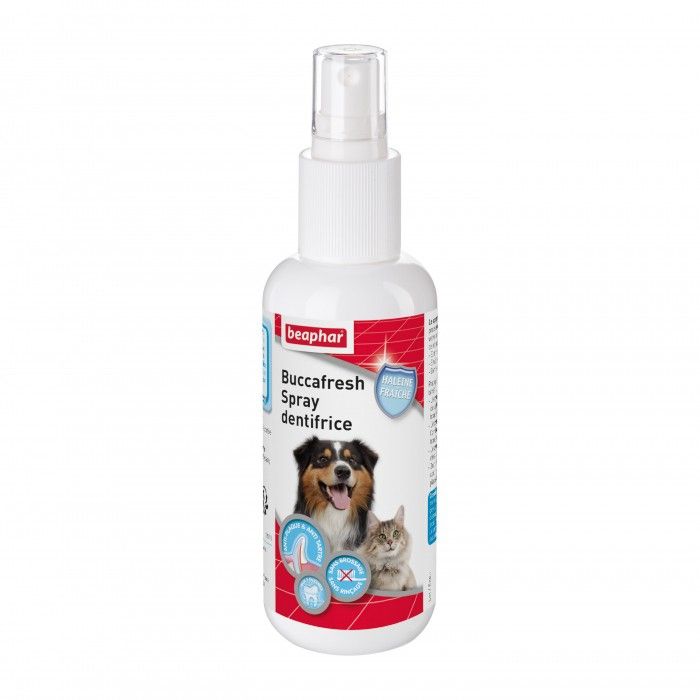 [2336] Spray dentrifrice "Buccafresh" (150 ml) - Beaphar