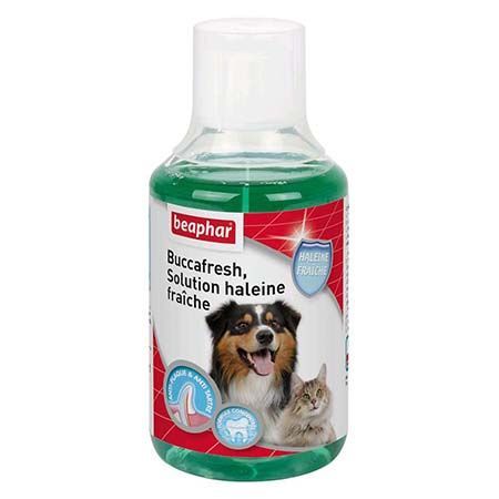 Solution haleine fraîche "Buccafresh" (250 ml) - Beaphar