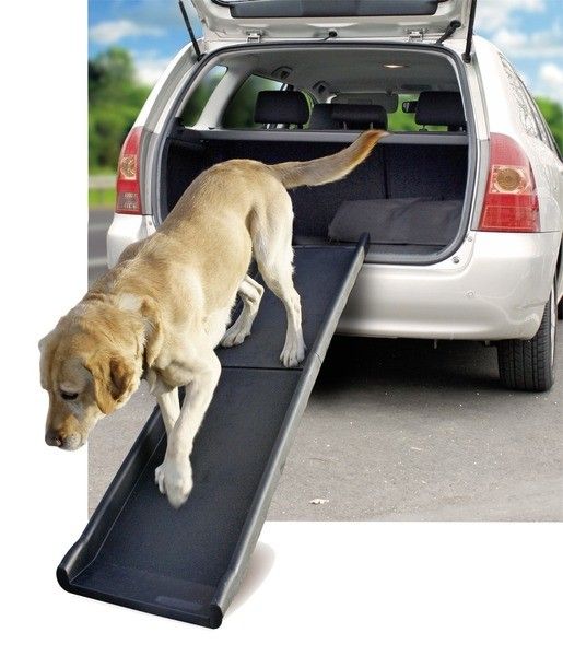 Rampe d'accès - Flamingo