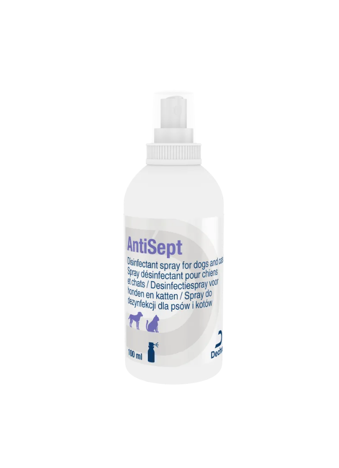 AntiSept (100 ml) - Dechra