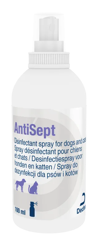 [3041_7635] AntiSept (100 ml) - Dechra