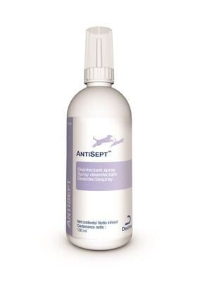 Antisept (100 ml) - Dechra
