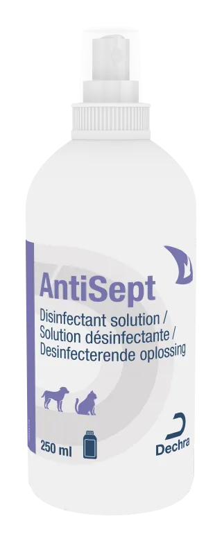 [3041_7636] AntiSept (250 ml) - Dechra