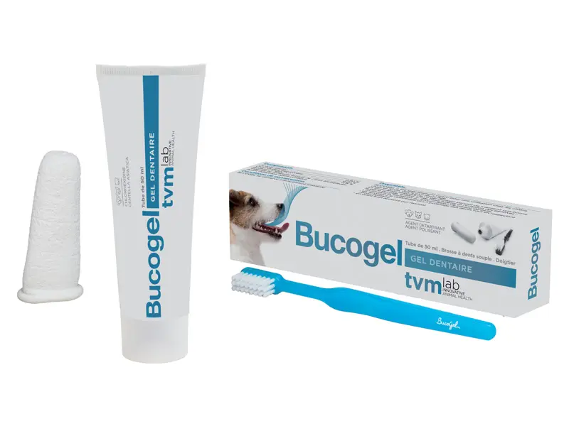 Bucogel dentifrice (tube 50 ml) - TVM