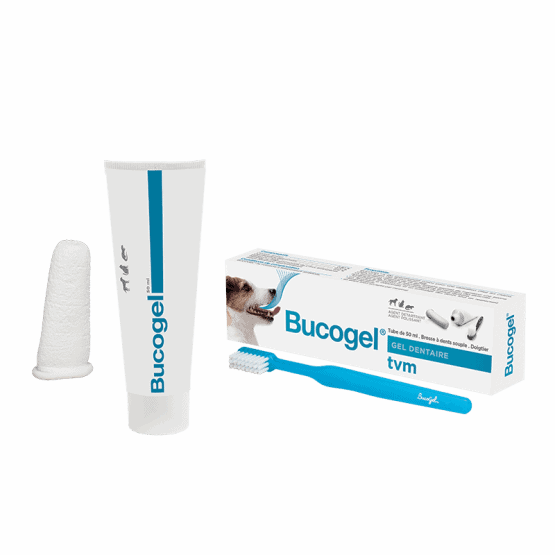 Bucogel dentifrice (tube 50 ml) - TVM