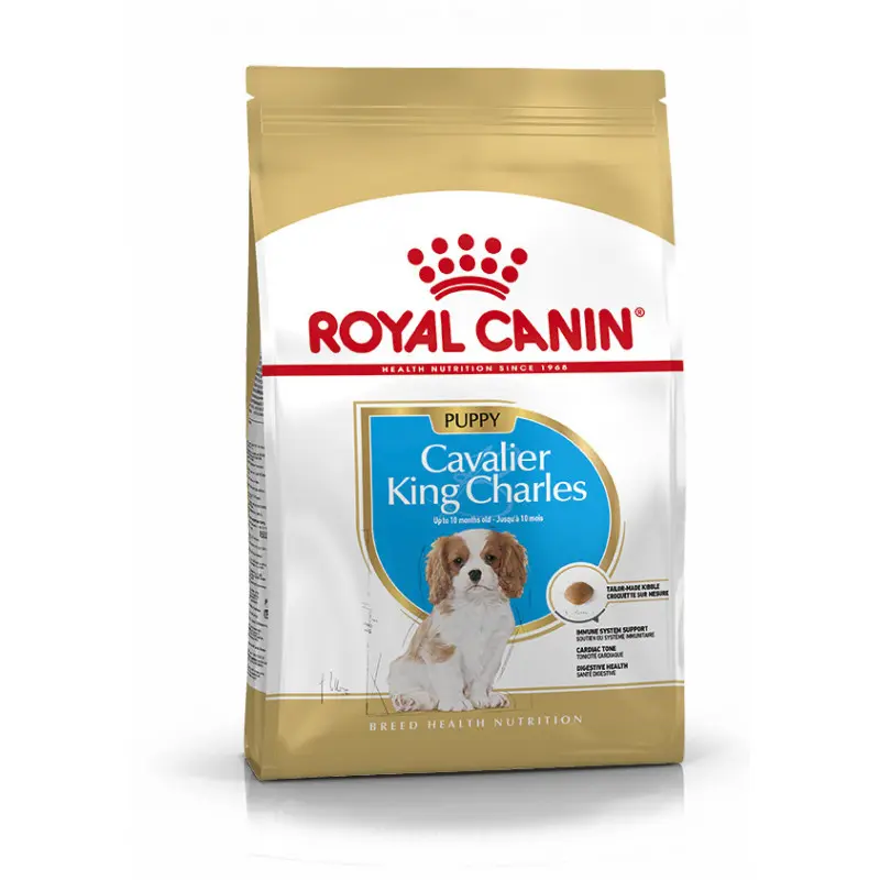 Jack Russell Terrier Junior (3 kg) - Royal Canin