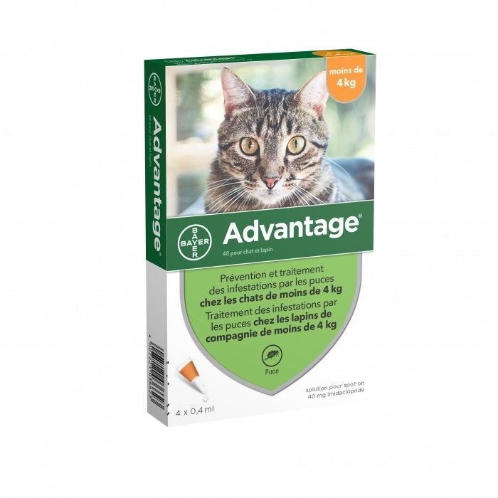 Advantage 40 CT chat Lapin - 4 kg (4 pipettes) - Bayer