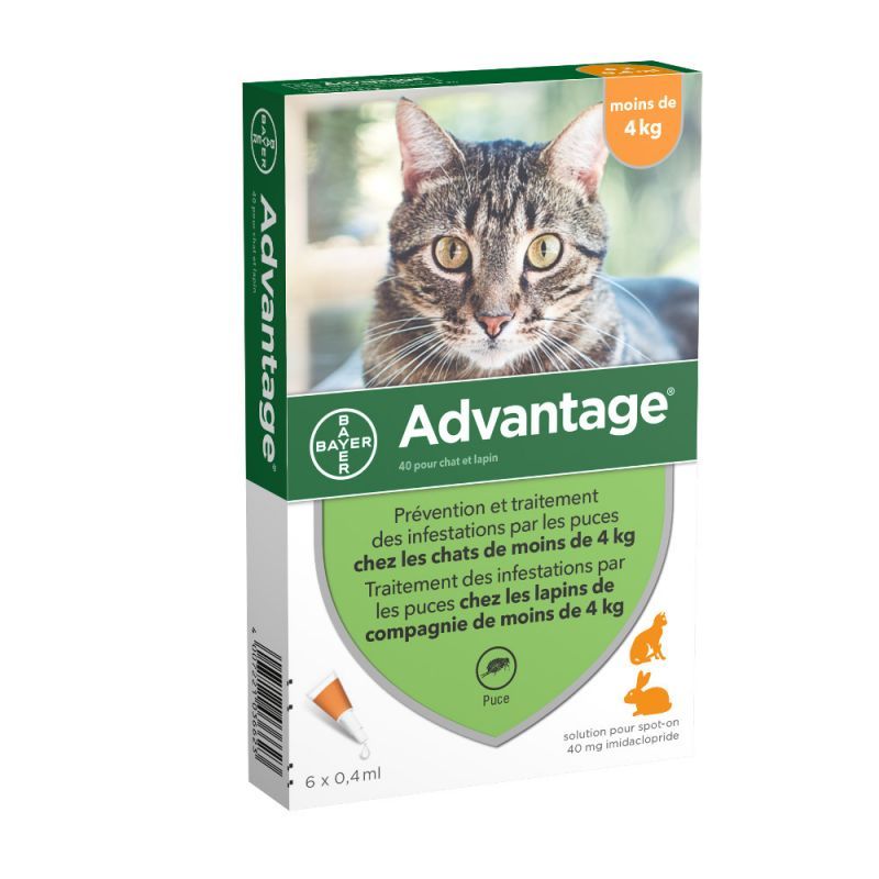 [3827_9063] Advantage 40 CT chat Lapin - 4 kg (6 pipettes) - Bayer