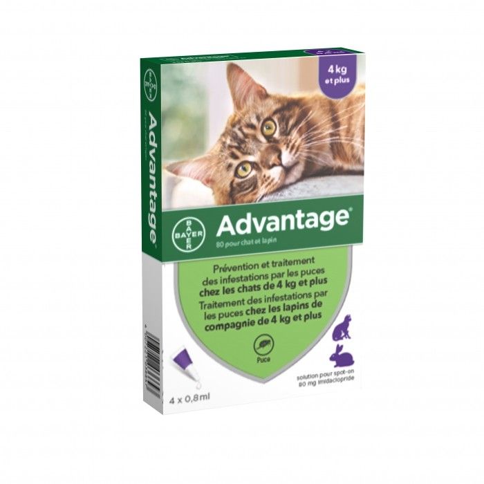 [3828_9064] Advantage 80 CT chat + 4 kg (4 pipettes) - Bayer