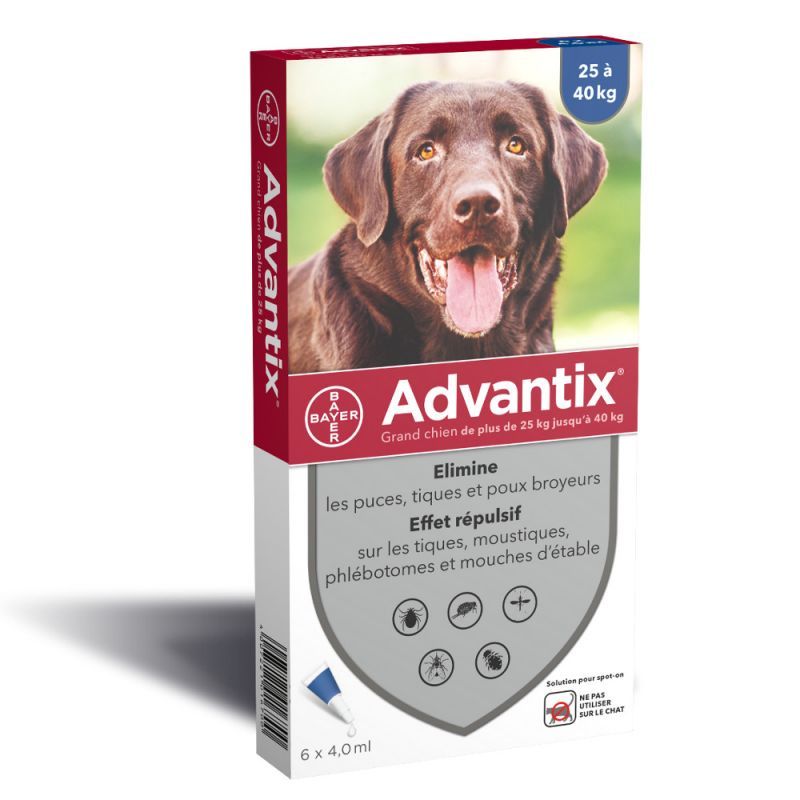 Advantix grand chien 25/40 kg (6 pipettes) - Bayer