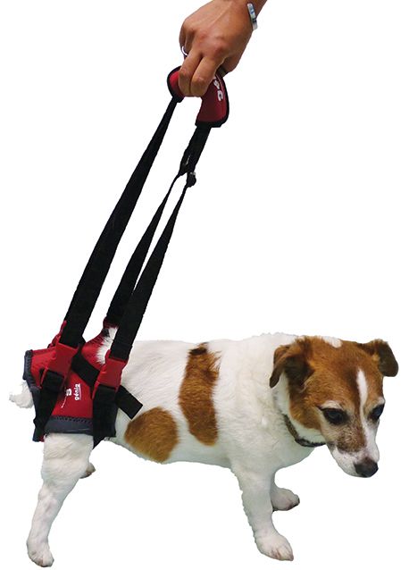 Harnais de maintien "Handi Canis" (XL)