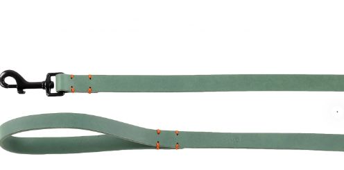 Laisse Leano vert (Taille 2) - Flamingo