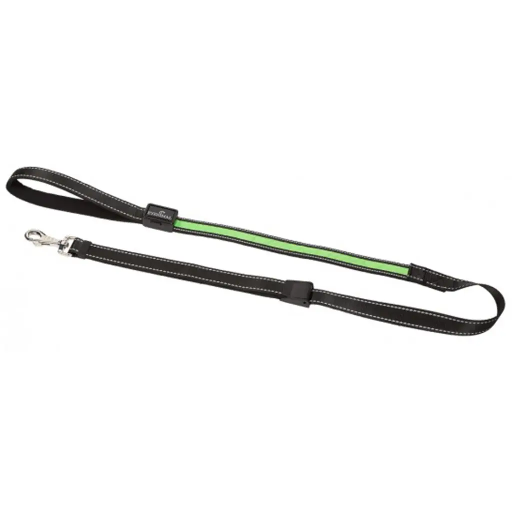 Laisse pour chien lumineuse à LED rechargeable - Eyenimal Vert