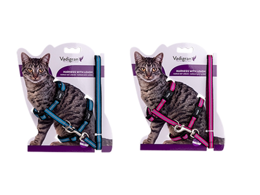 Kit chat harnais + laisse Reflect (Bleu) - Vadigran