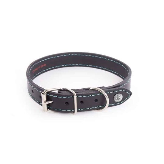 Collier en cuir Flash - Noir/Turquoise (40 cm) - Martin Sellier