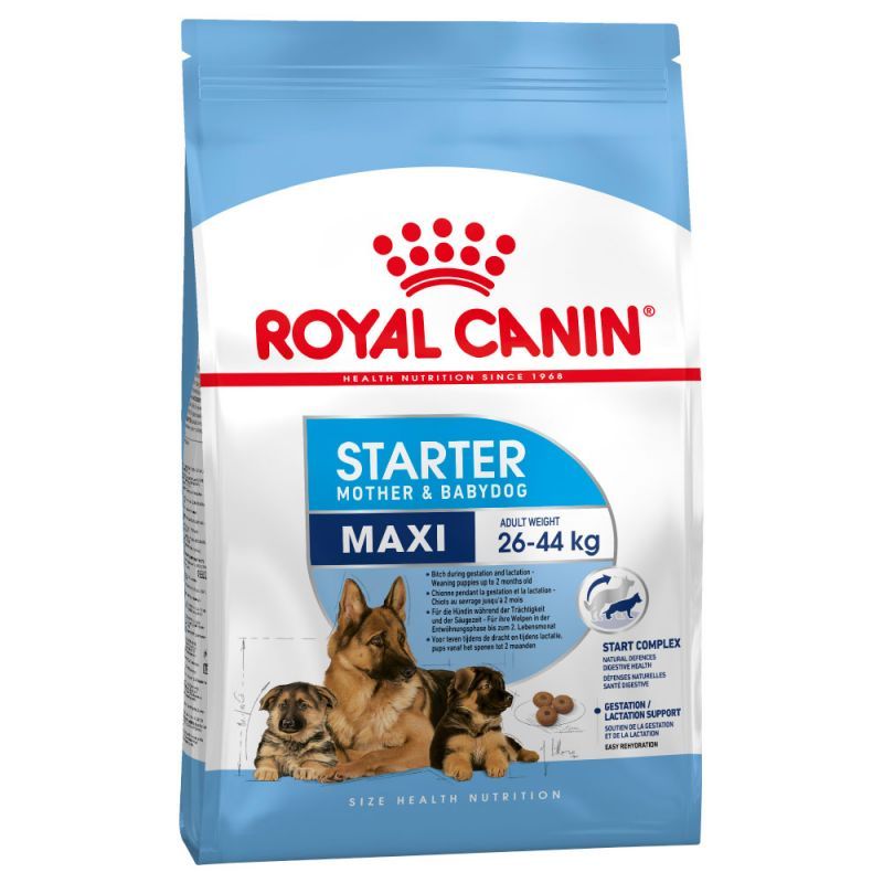 Starter Mère et Chiot Maxi (4 kg) - Royal Canin
