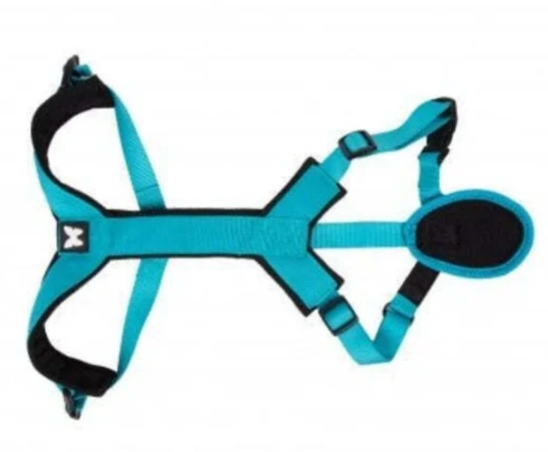 [54008-009] Harnais Canicross Basic ARKA - Turquoise (XXL) - Martin Sellier