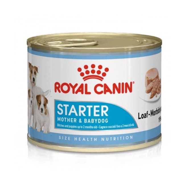 Starter Mousse Mère et chiot (12 boîtes 195 g) - Royal Canin