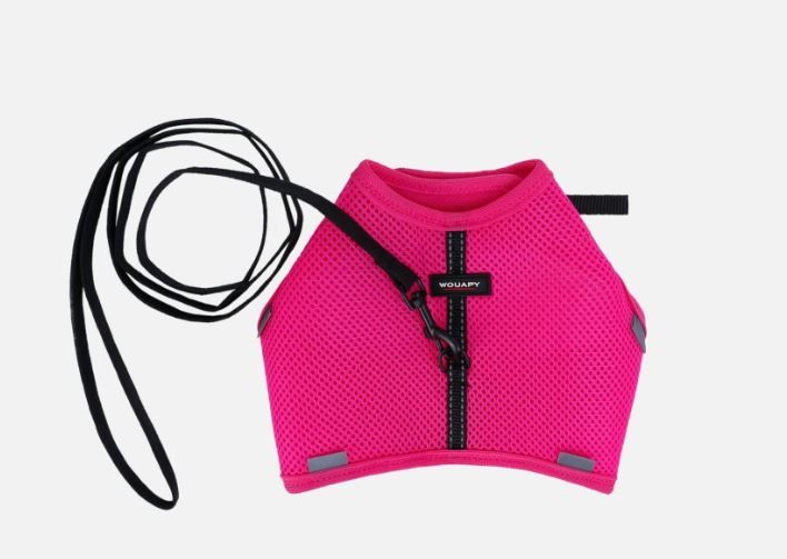 [54284] Harnais Soft Rose avec laisse pour chat - Wouapy