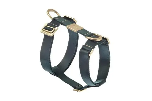 Harnais "Mida" - Vert (XL) - Ferribiella